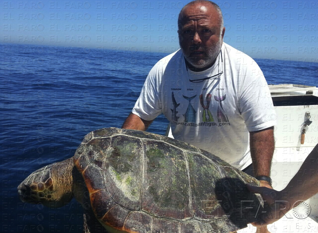 Juan Carlos Rivas, vicepresidente de Cecam, ayer en la suelta de una tortuga boba.