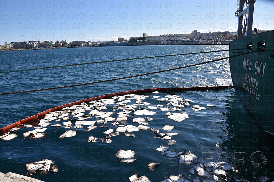 Foto: Reduan Ben Zakour