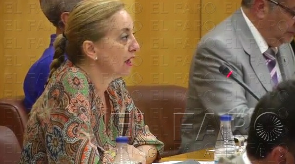 La consejera, en el Pleno de hoy