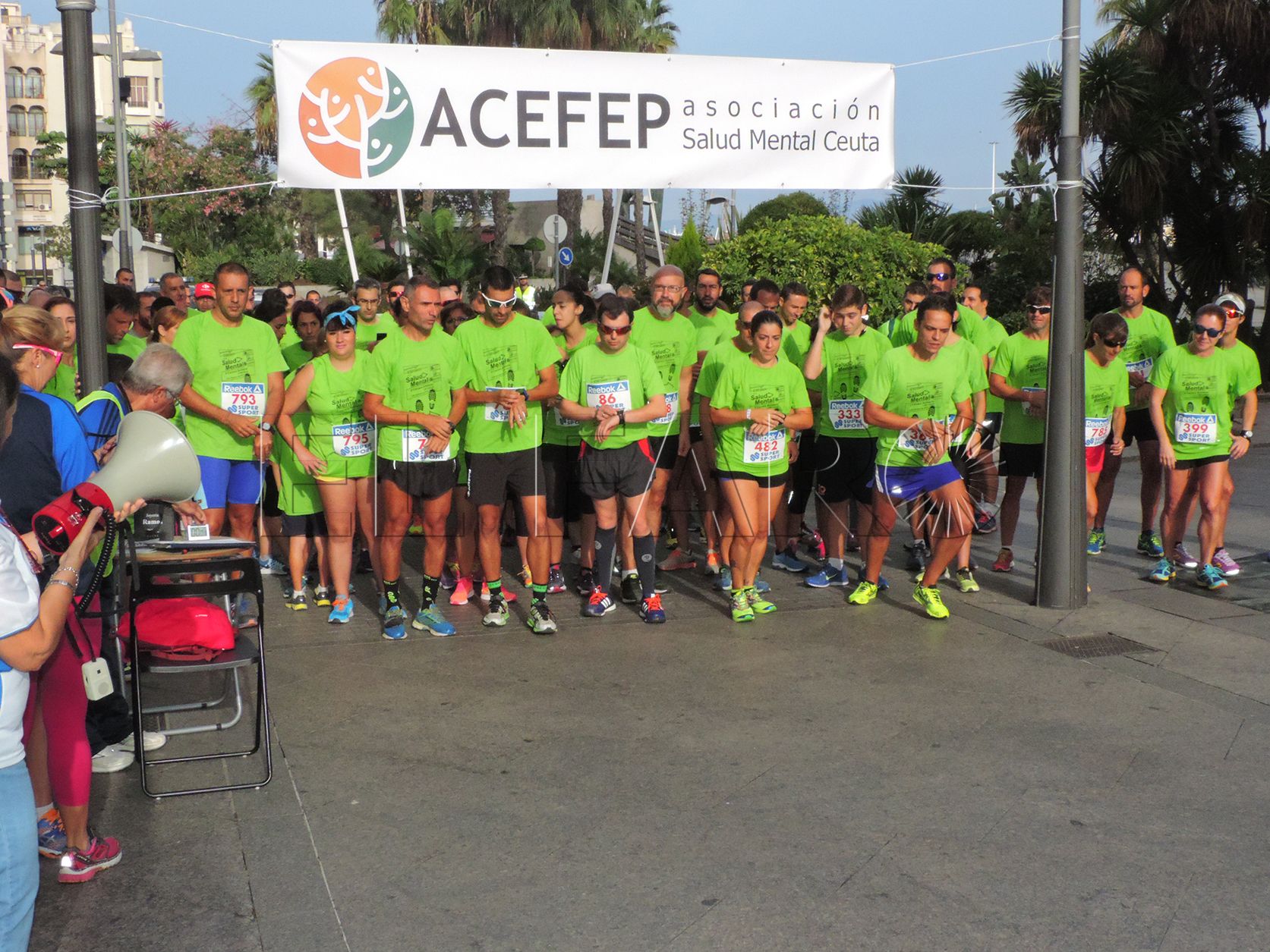 Acefep