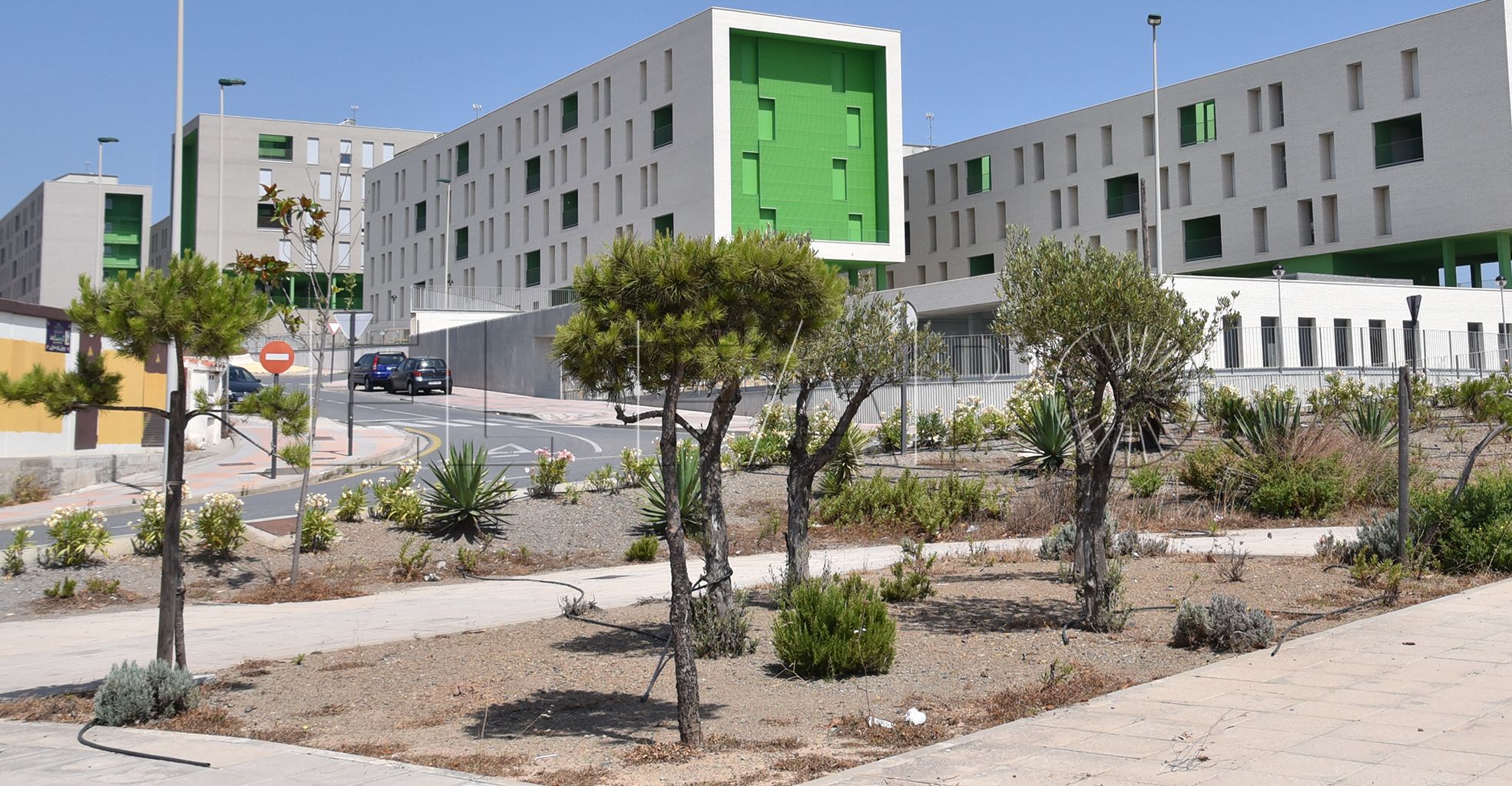 loma colmenar