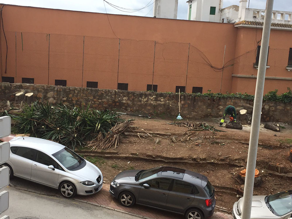 Arboricidio en Miramar Bajo