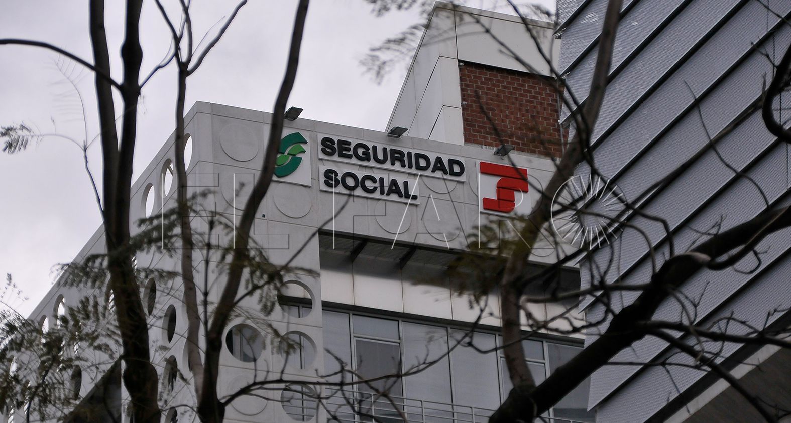 seguridad social paro empleo