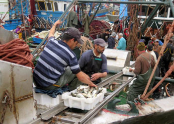 Pesca-Marruecos-750x548