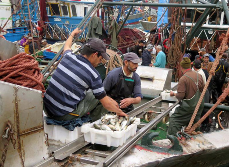 Pesca-Marruecos-750x548