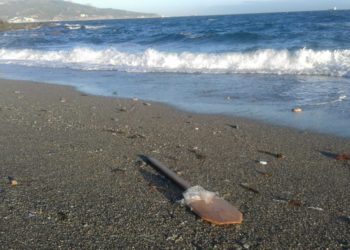 Remos pateras playas ceuta