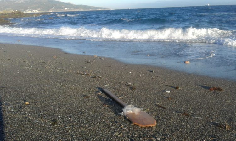 Remos pateras playas ceuta