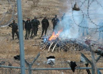MÁS DE 600 INMIGRANTES ASALTAN PERÍMETRO FRONTERIZO DE MELILLA