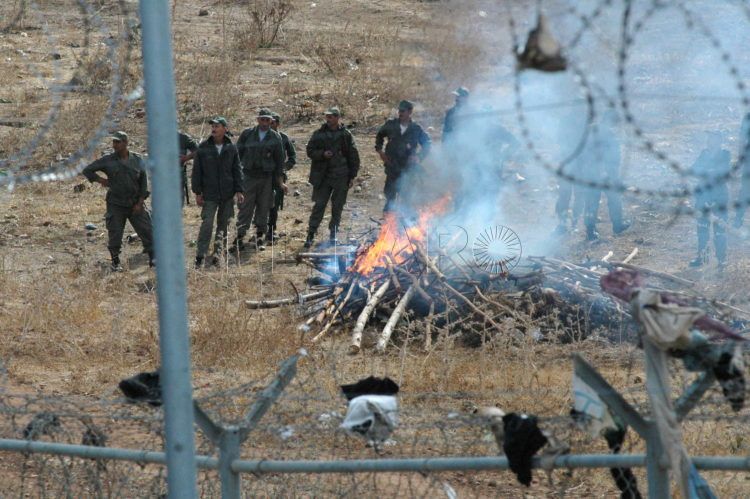 MÁS DE 600 INMIGRANTES ASALTAN PERÍMETRO FRONTERIZO DE MELILLA