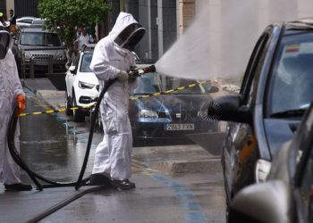 Abejas enjambre cabreado