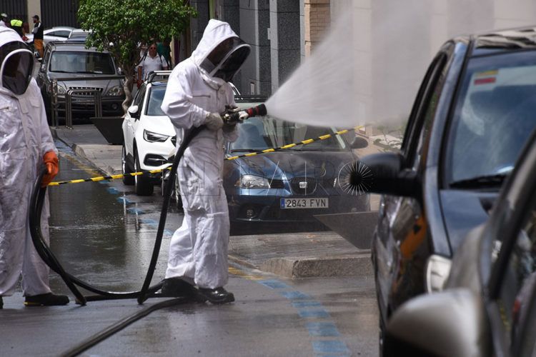 Abejas enjambre cabreado