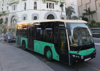 Autobuses-Hadu-Almadraba