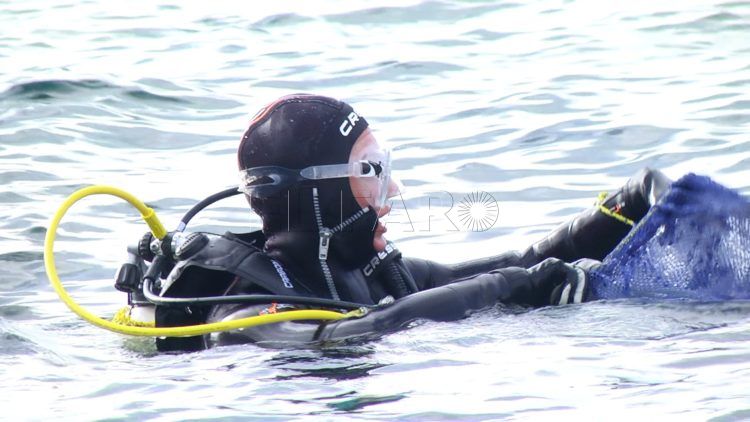 cursos-buceo