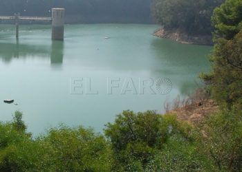Pantano