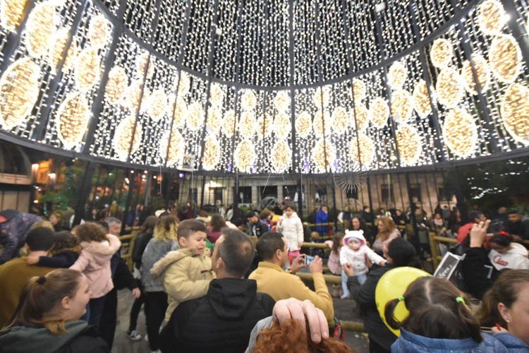 Alumbrado navideño 5218
