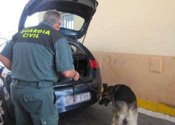 guardia civil con perro puerto droga embarque