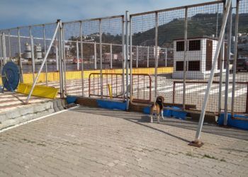 parque-perros
