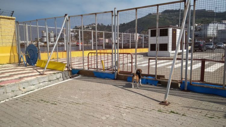 parque-perros
