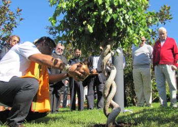 plantando arbol multiculturalidad