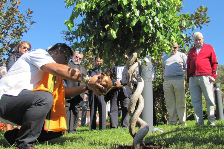plantando arbol multiculturalidad