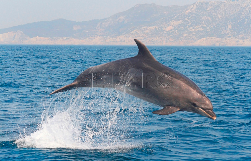 ESTRECHO-GIBRALTAR-1