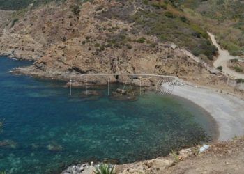 cala-desnarigado