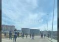 pelea-puerto-20