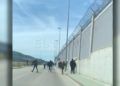 pelea-puerto-15
