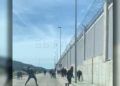 pelea-puerto-16