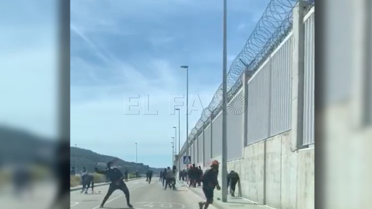 pelea-puerto-16