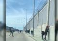 pelea-puerto-17