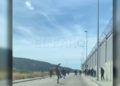 pelea-puerto-18