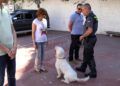 guardia-civil-manjon-21