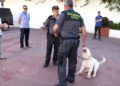 guardia-civil-manjon-22
