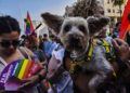 orgullo-2019-34