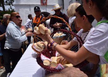 romeria-san-antonio46
