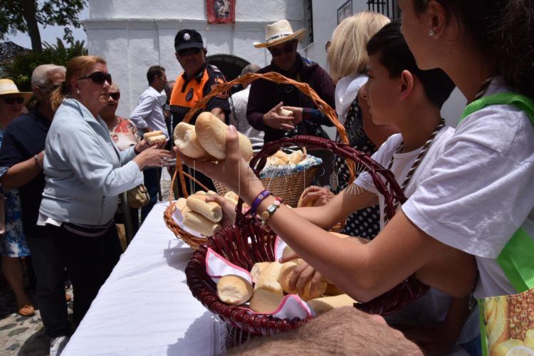 romeria-san-antonio46