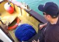 suelta-tortugas-18