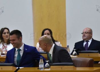 voz-asamblea-pleno