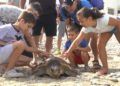 CECAM-tortuga-18