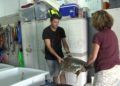 CECAM-tortuga-6