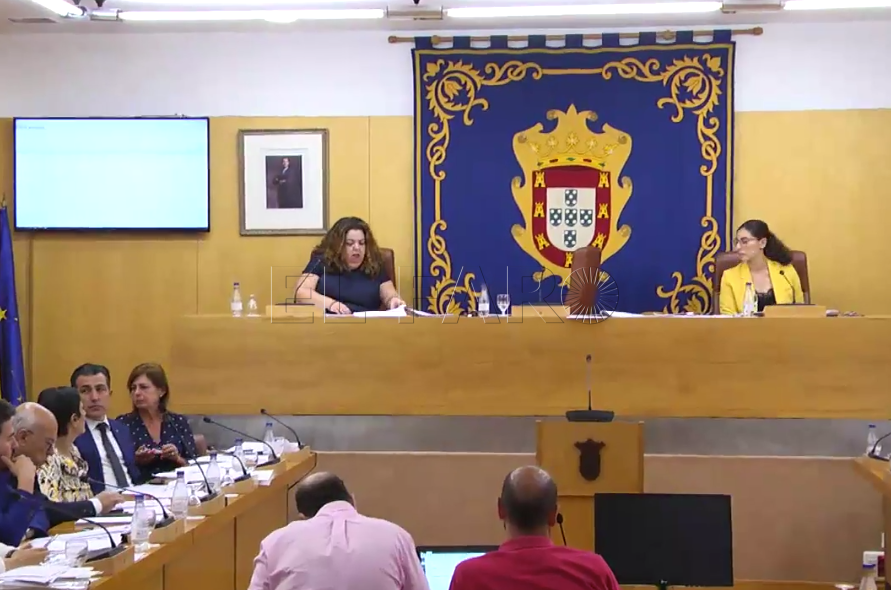 cristina-perez-ausencia-pleno