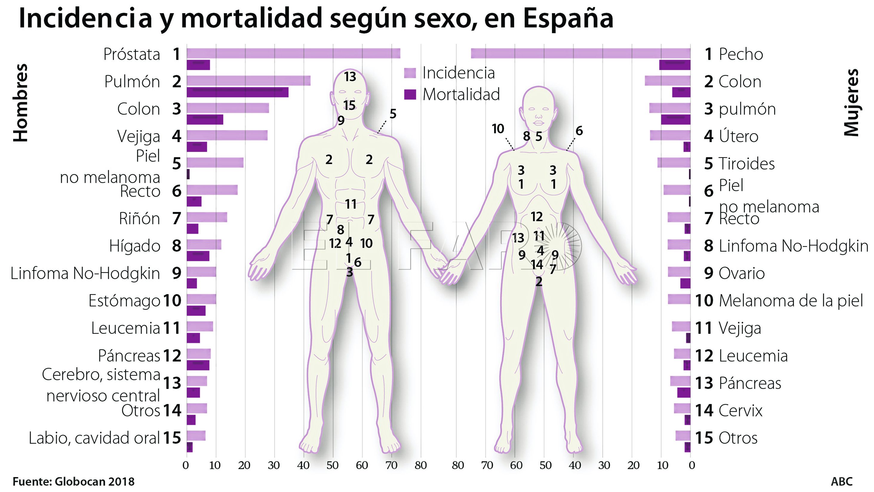 20190717-obesidad-doctor-avila-2