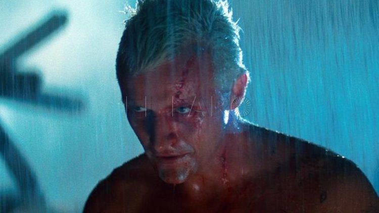 rutger-hauer