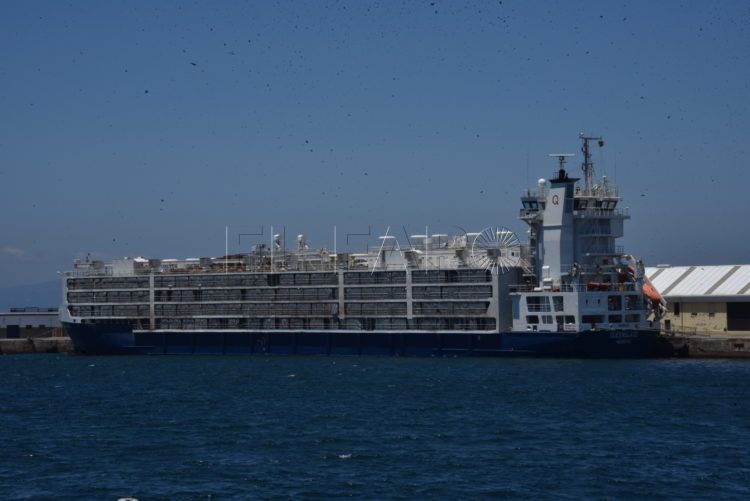 barco-oloroso-alfau