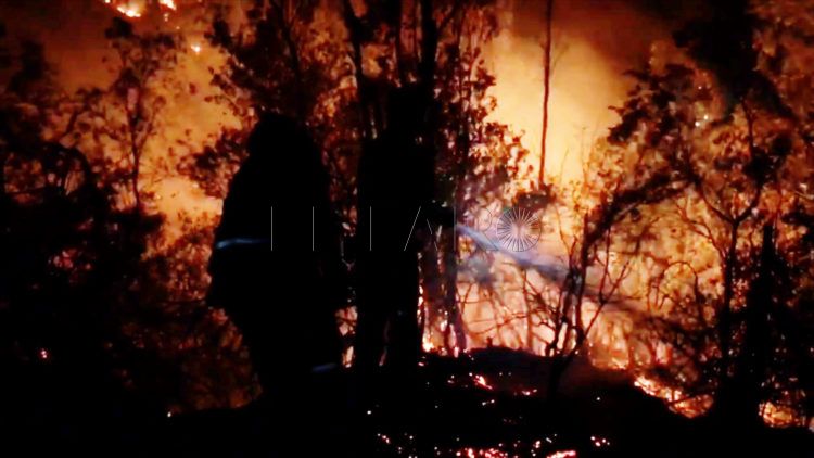 bomberos-lucha-incendio-4