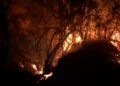 bomberos-lucha-incendio-6
