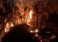 bomberos-lucha-incendio-7