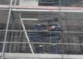 bomberos-rescate-gato-1