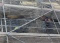 bomberos-rescate-gato-10